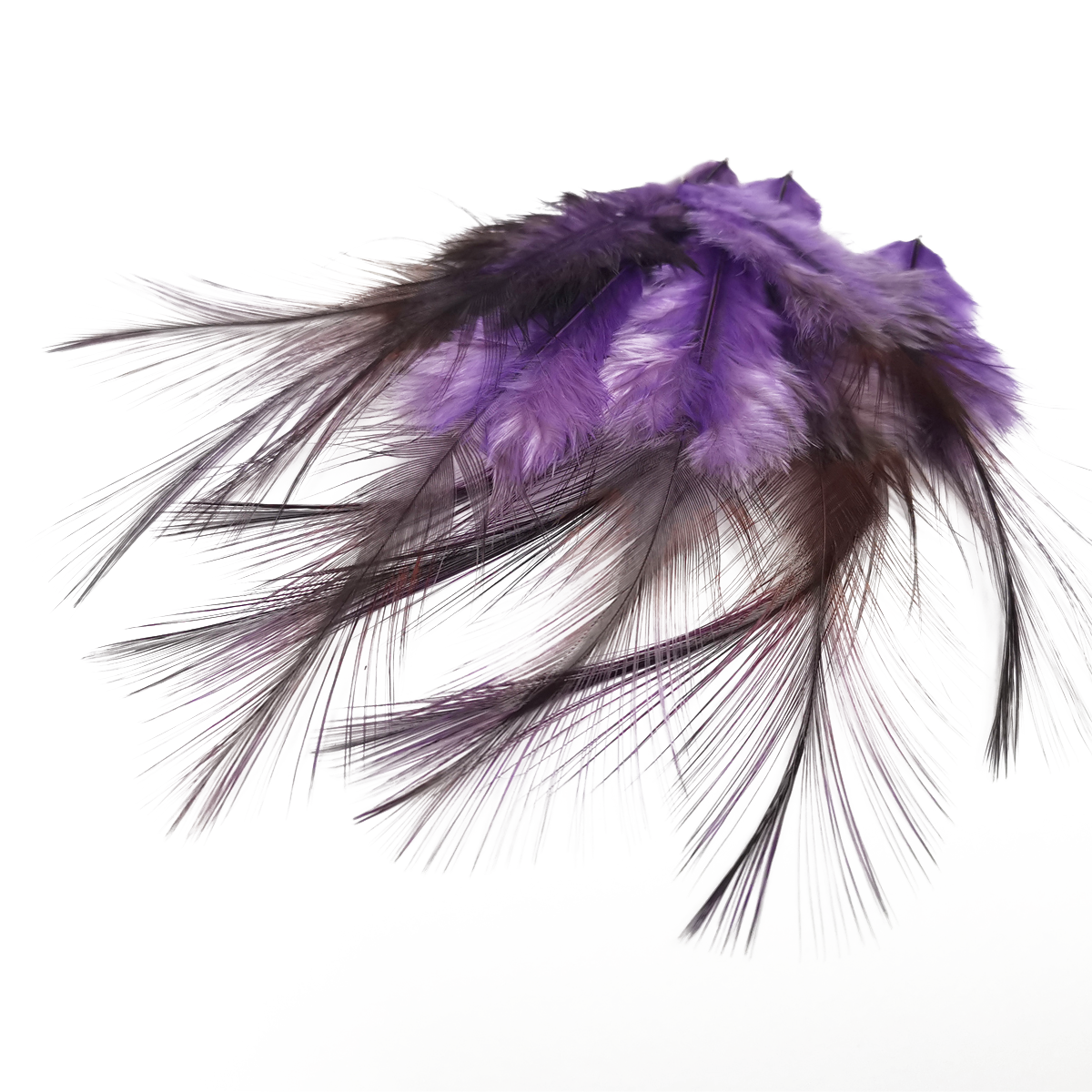 Coq de Leon Selected Saddle Hackles