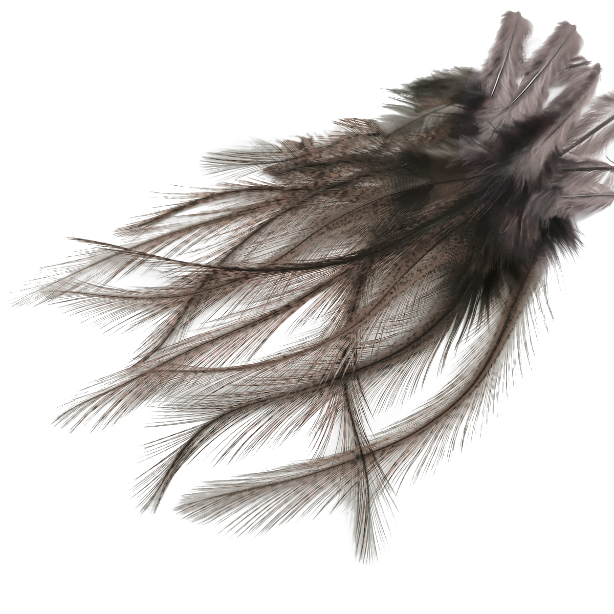Coq de Leon Selected Saddle Hackles