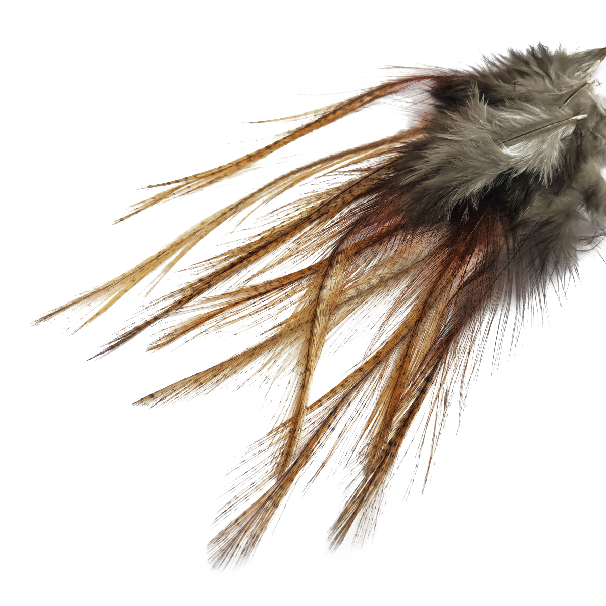 Coq de Leon Selected Saddle Hackles