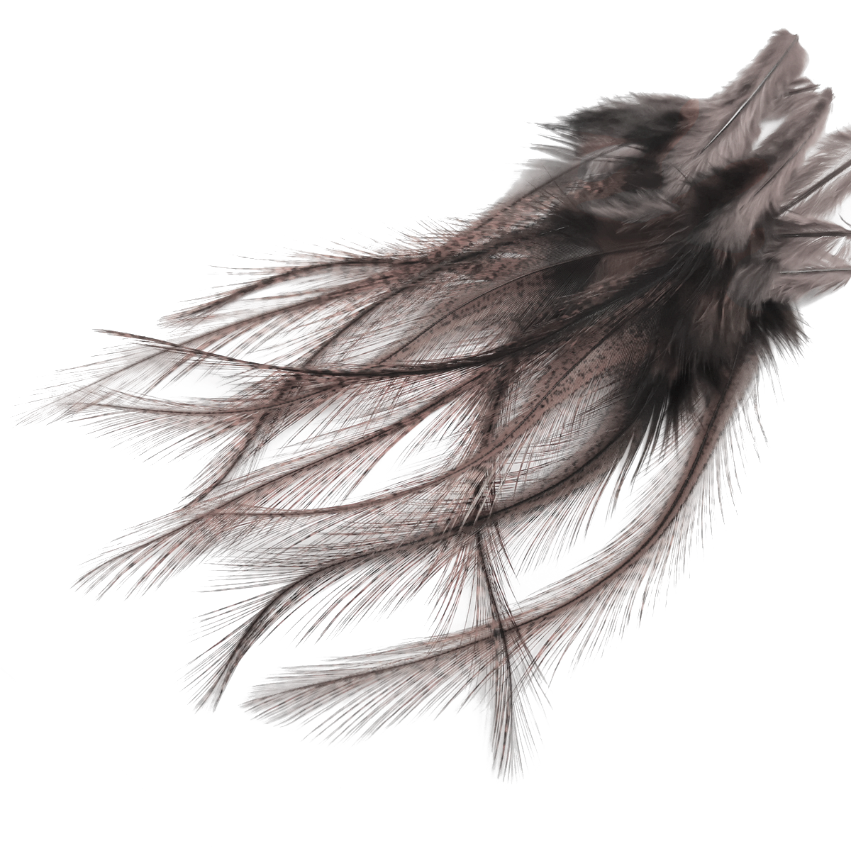 Coq de Leon Selected Saddle Hackles