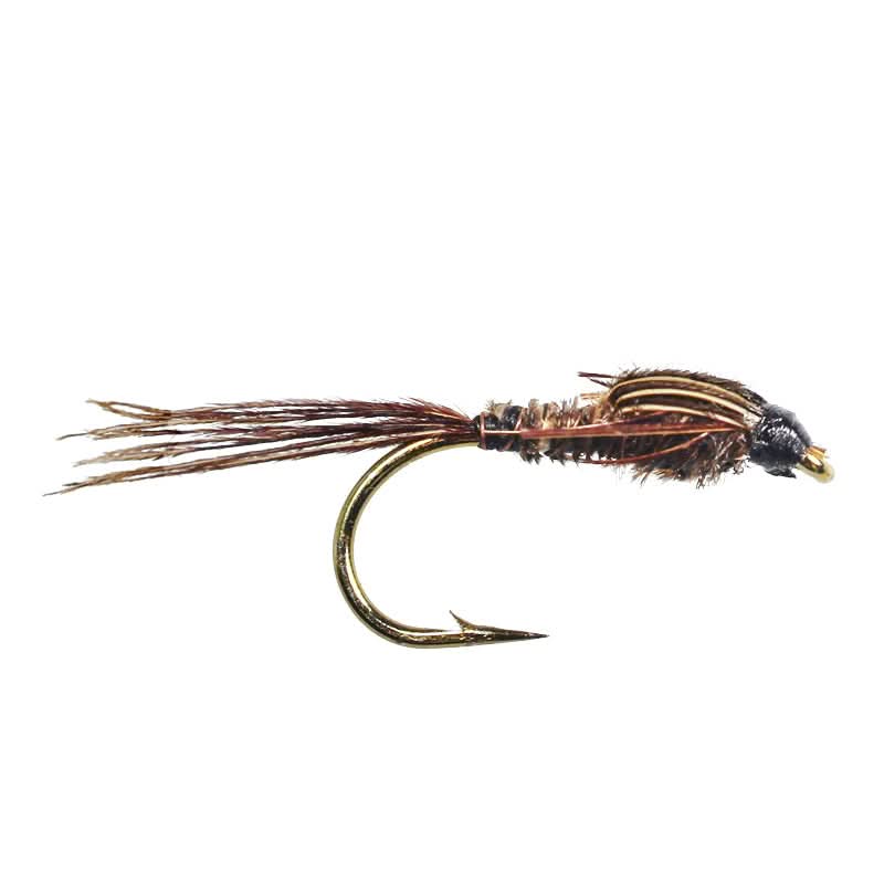 Darkest Pheasant Nymph - Go - Fish