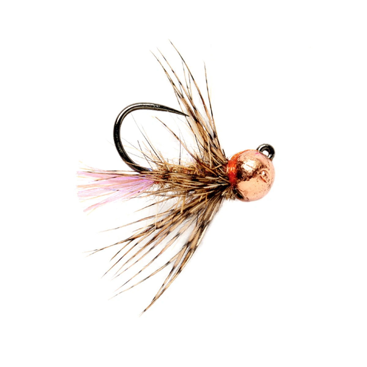 Roza's Violet Jig