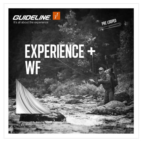 Guideline Experience+ Coda di topo WF - Go - Fish