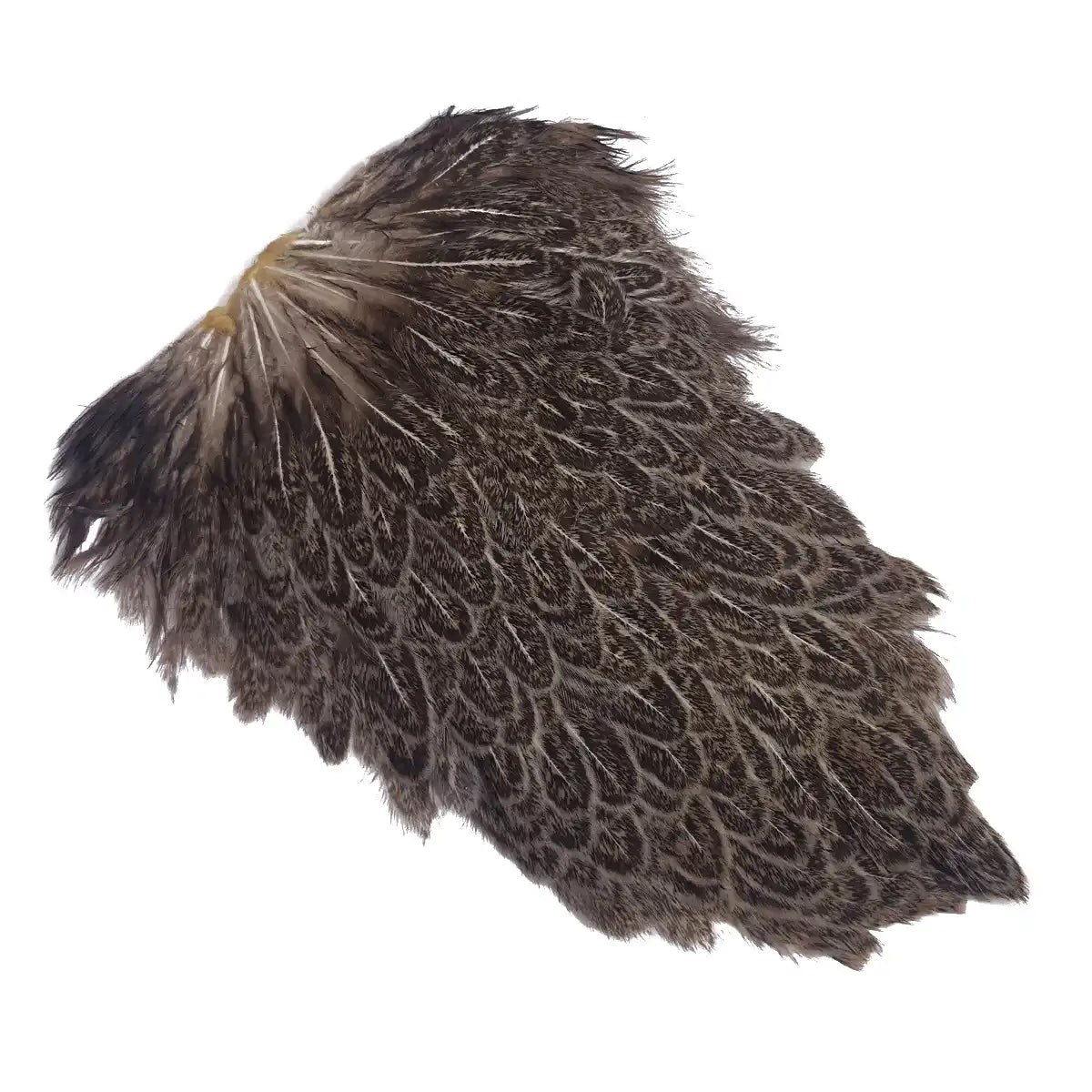 Spalla di gallina - Hen Saddle