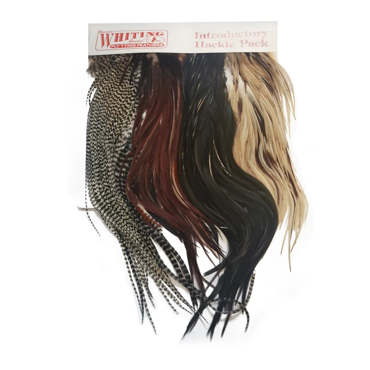 Whiting Introductory Hackle Pack 4 Mezze Selle Typ 2