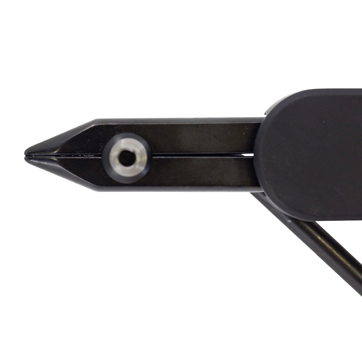 Regal Medallion Regular/Bronze Base Morsetto costruzione mosche