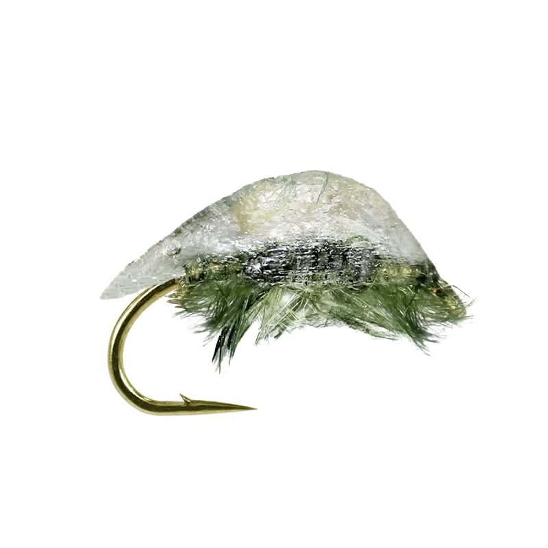 Natural Shrimp Olive - Go - Fish