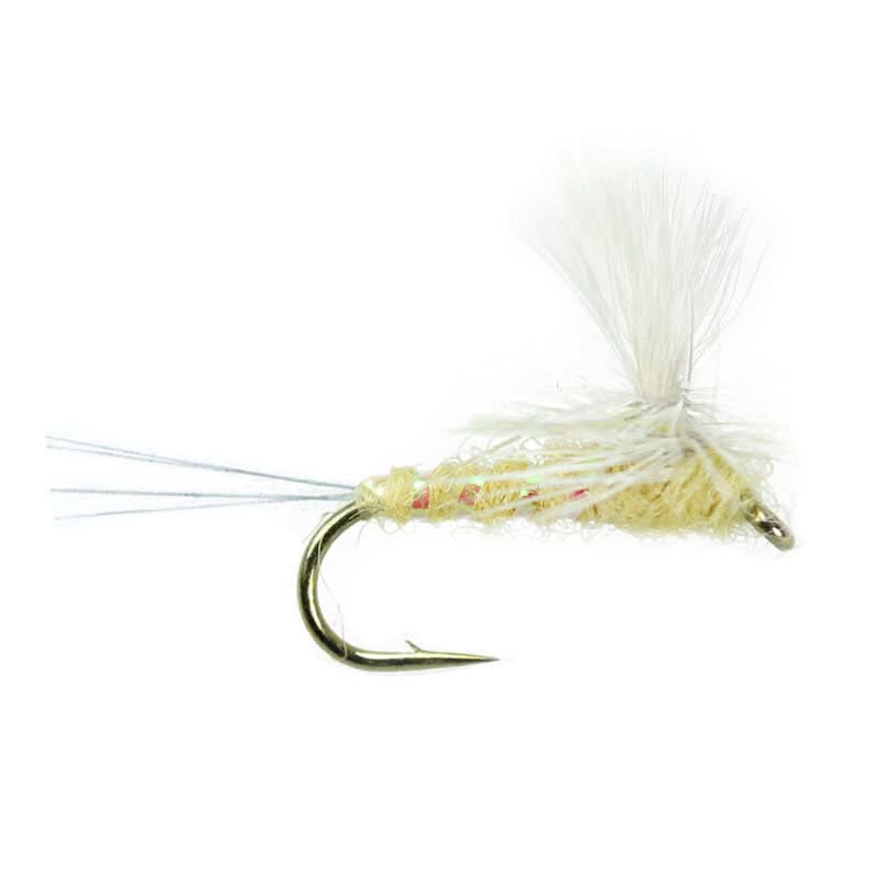 Para Wulff PMD - Go - Fish