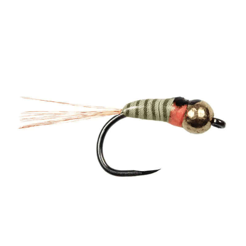 Perdigones Tungsten Nymph Elegant BL - Go - Fish
