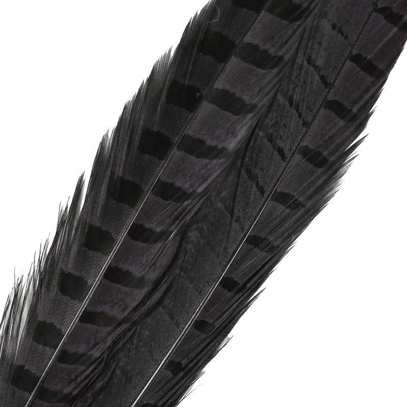 Pheasant Tail Feathers