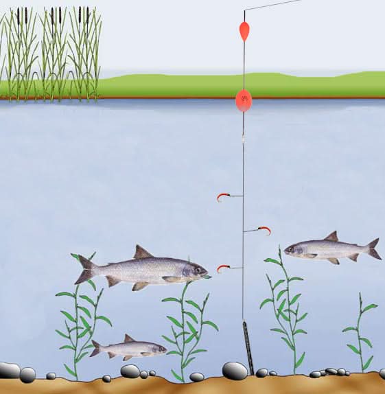 Piombo Amettiera - Go - Fish