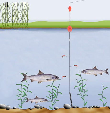 Piombo Amettiera - Go - Fish