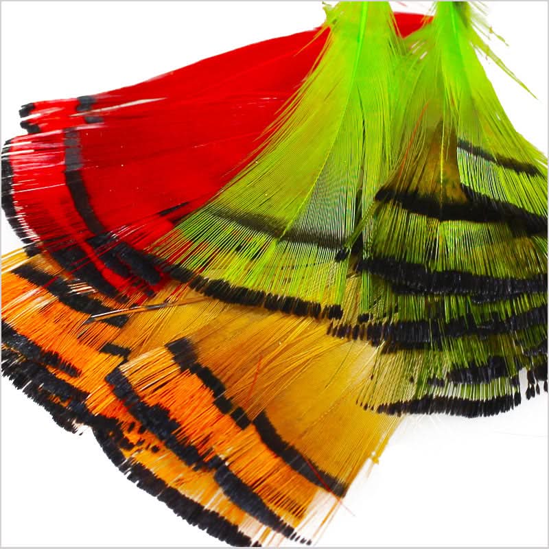 Piume del collare di fagiano dorato - Go - Fish