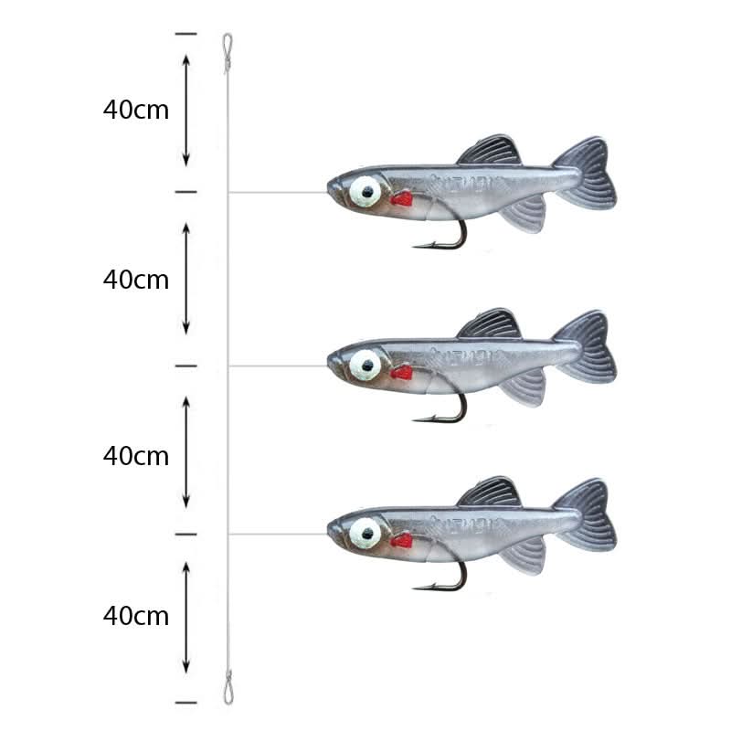 Premium Amettiere sabiki per persico - Go - Fish