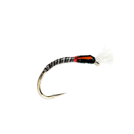 Quill Buzzer Black - Go - Fish