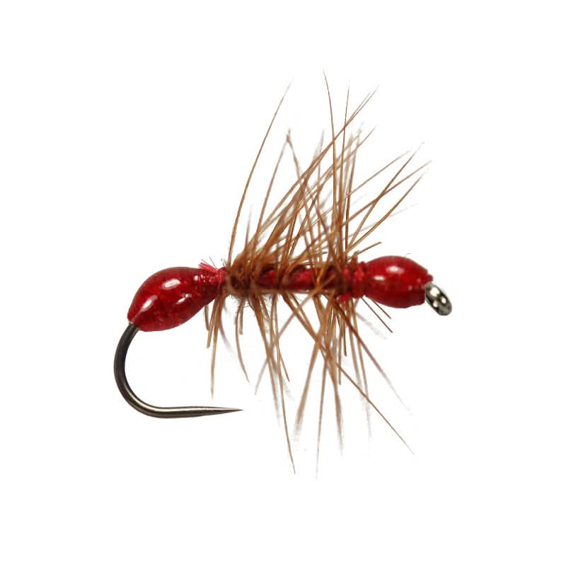 Red Epoxy Ant BL - Go - Fish