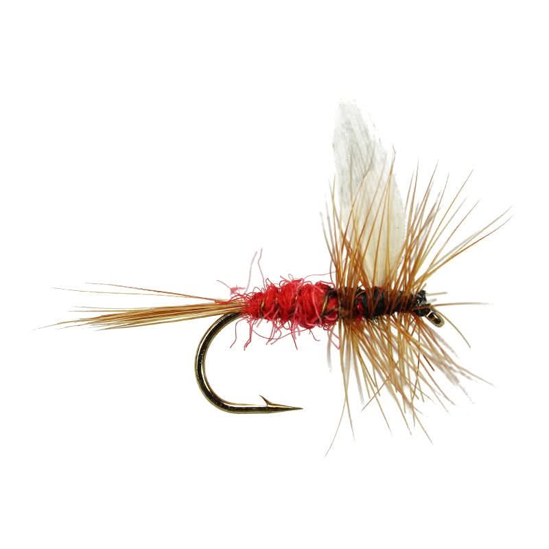 Red Spinner - Go - Fish