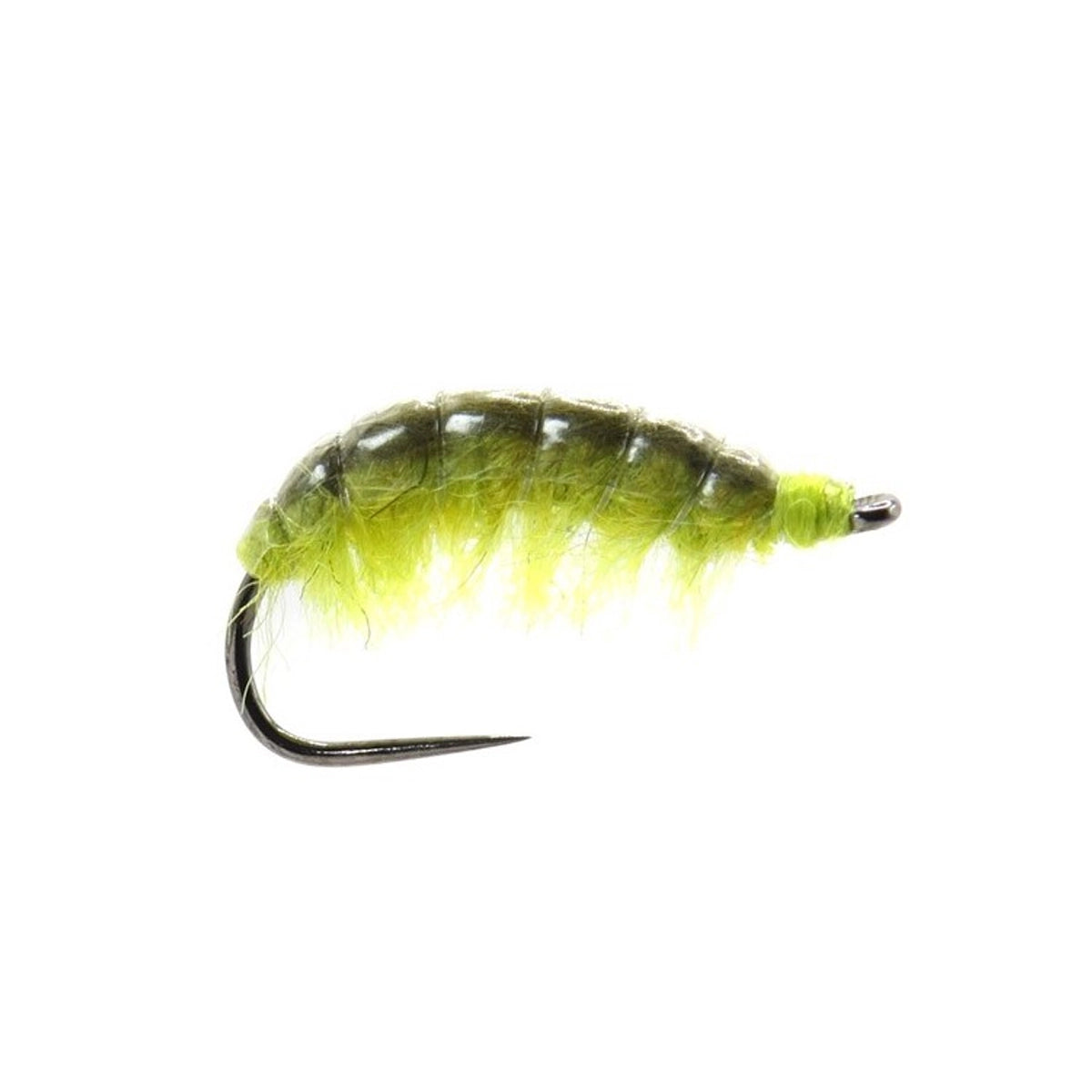 Shrimp Nymph Olive