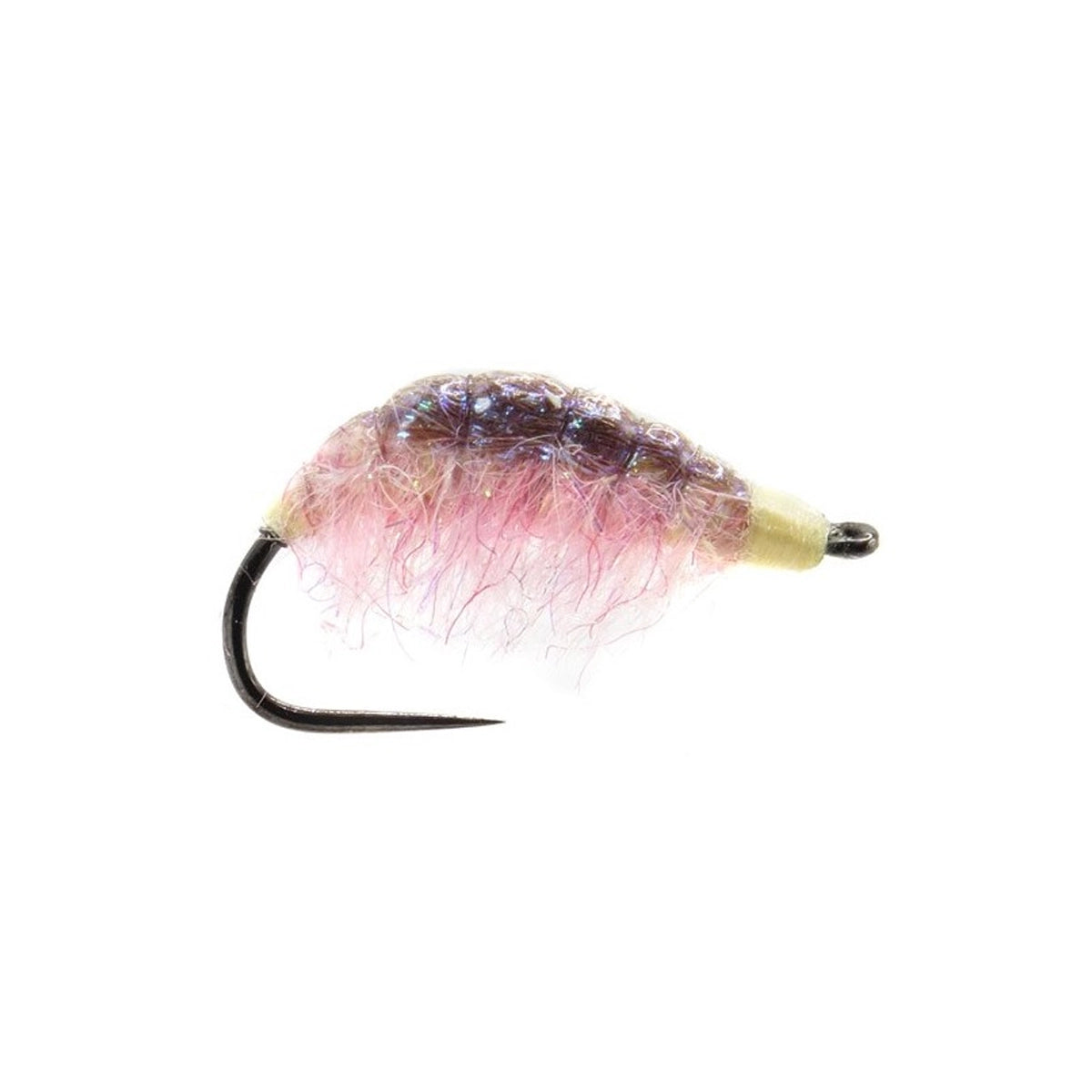 Shrimp Nymph Pink