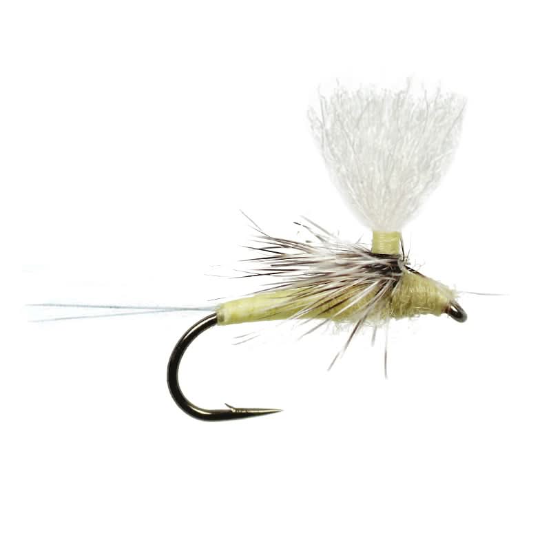 Spring Creek Para - Spinner - PMD - Go - Fish
