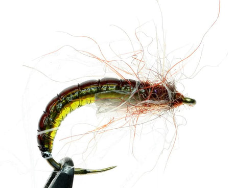 Stretch Glass - Go - Fish