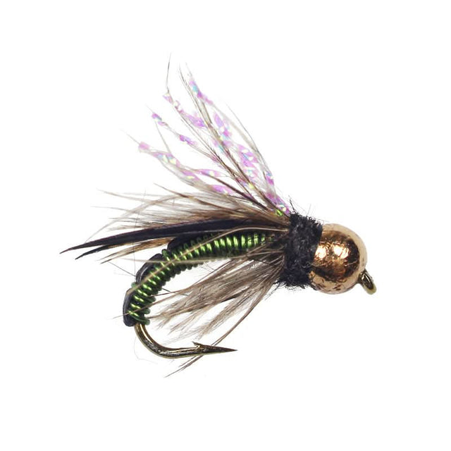 Tungsten Wired Caddis Olive - Go - Fish