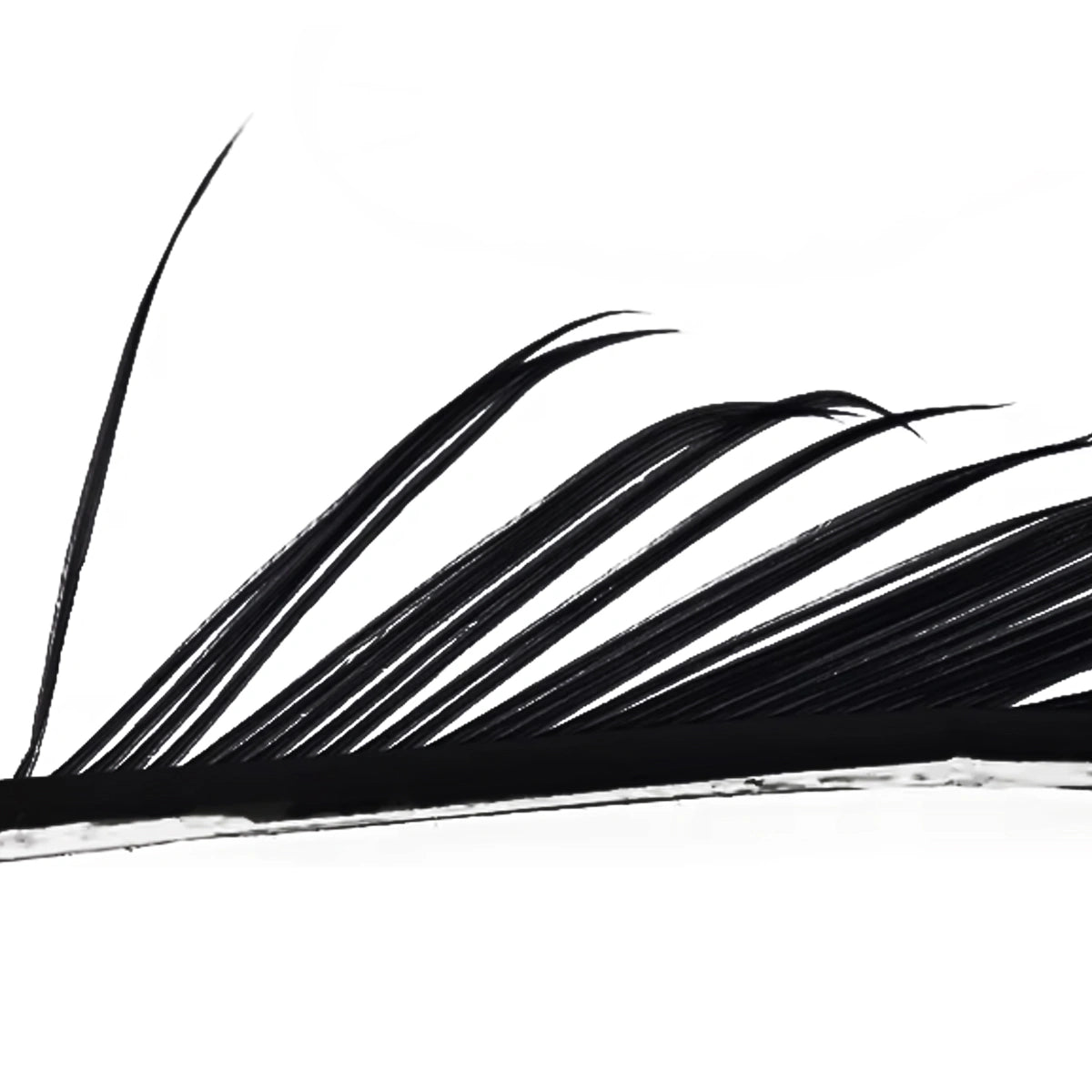 Veniard Turkey Biots black