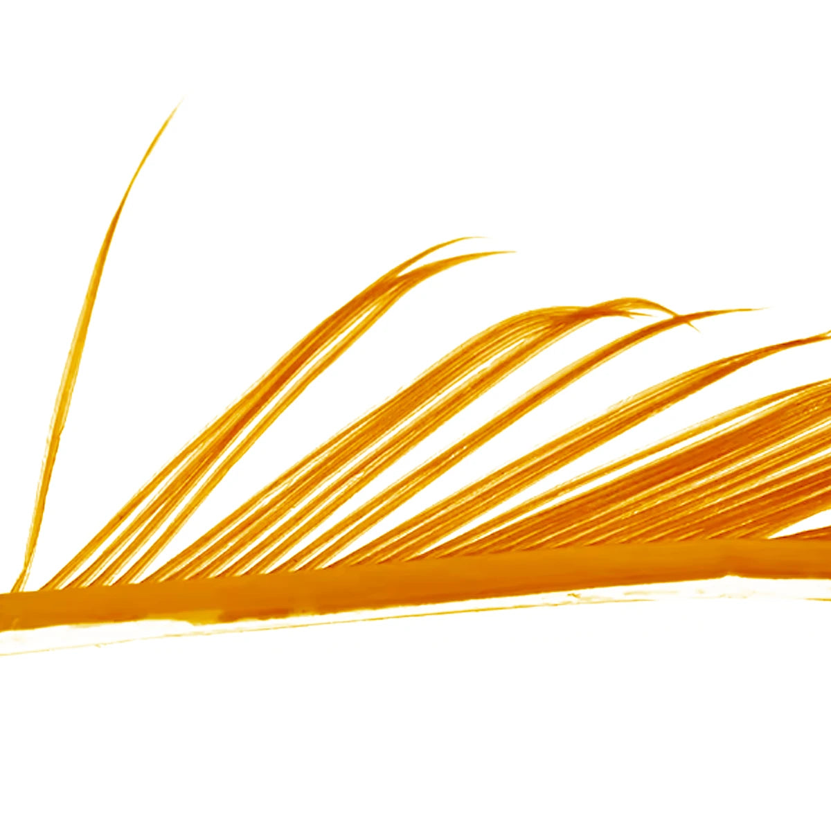 Veniard Turkey Biots sulphur orange