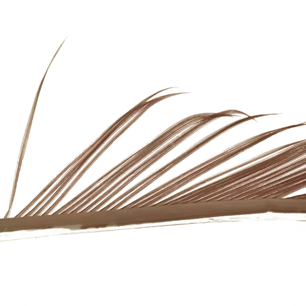 Veniard Turkey Biots tan