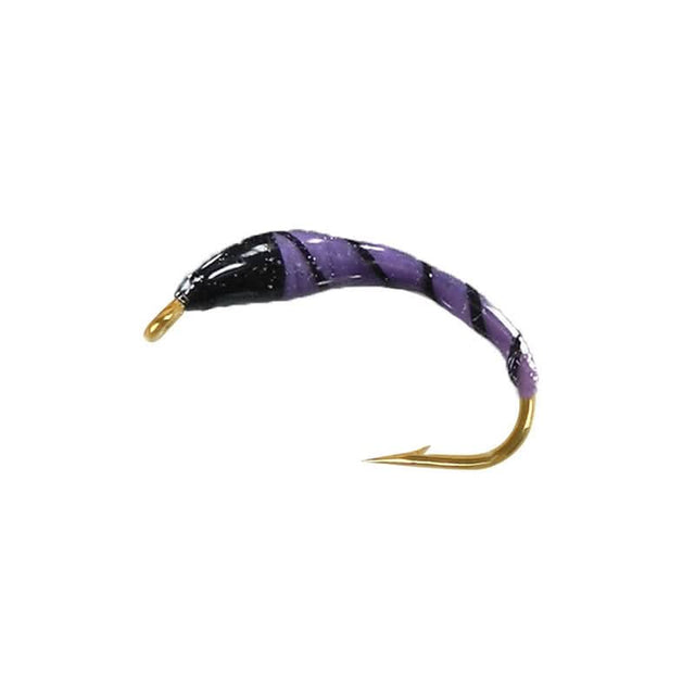 Violet black rib ninfa - Go - Fish