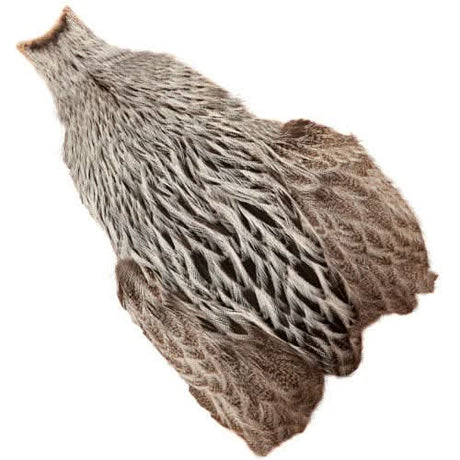 Whiting Brahma Hen Cape - Go - Fish