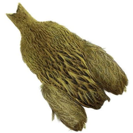 Whiting Brahma Hen Cape - Go - Fish