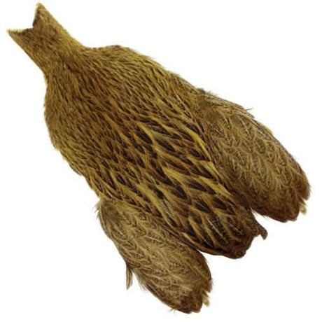 Whiting Brahma Hen Cape - Go - Fish