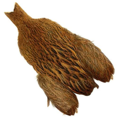 Whiting Brahma Hen Cape - Go - Fish