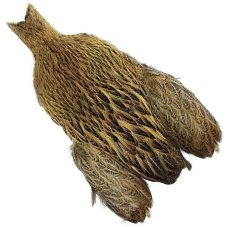 Whiting Brahma Hen Cape - Go - Fish