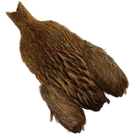 Whiting Brahma Hen Cape - Go - Fish