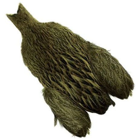 Whiting Brahma Hen Cape - Go - Fish