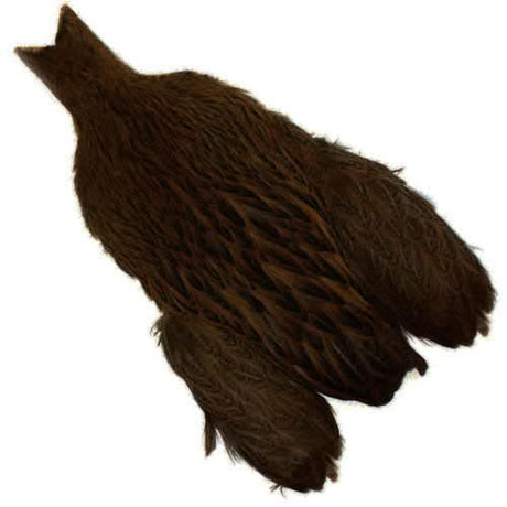 Whiting Brahma Hen Cape - Go - Fish