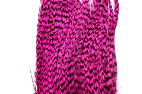 Whiting Bugger Pack │ collo di gallo per streamer - Go - Fish