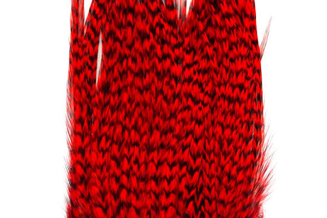 Whiting Bugger Pack │ collo di gallo per streamer - Go - Fish