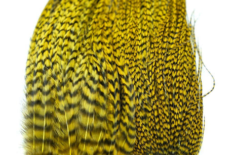 Whiting Bugger Pack │ collo di gallo per streamer - Go - Fish