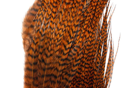 Whiting Bugger Pack │ collo di gallo per streamer - Go - Fish