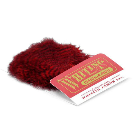 Whiting Chickabou Patch - Go - Fish