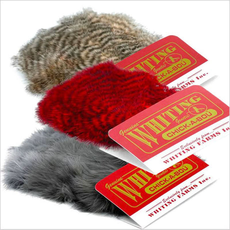 Whiting Chickabou Patch - Go - Fish