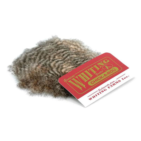 Whiting Chickabou Patch - Go - Fish