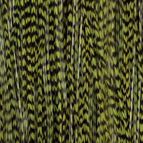 Whiting Mezza sella di gallo midge bronze - Go - Fish