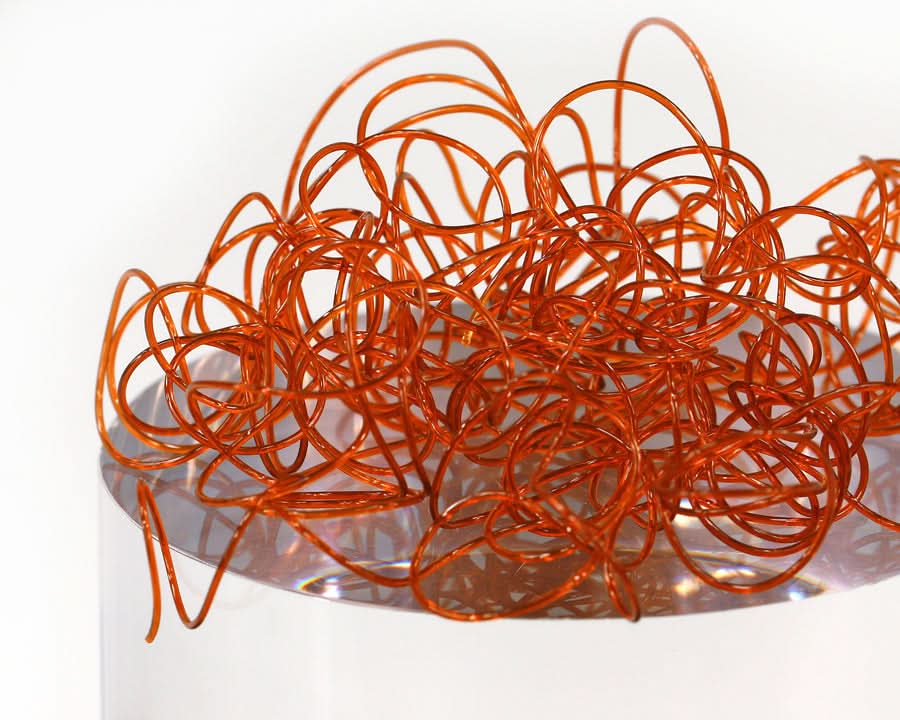 Wiggly Worms - Go - Fish