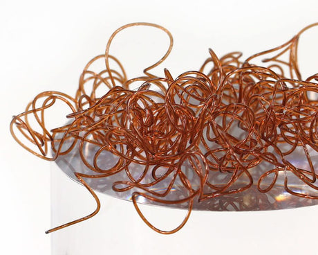 Wiggly Worms - Go - Fish