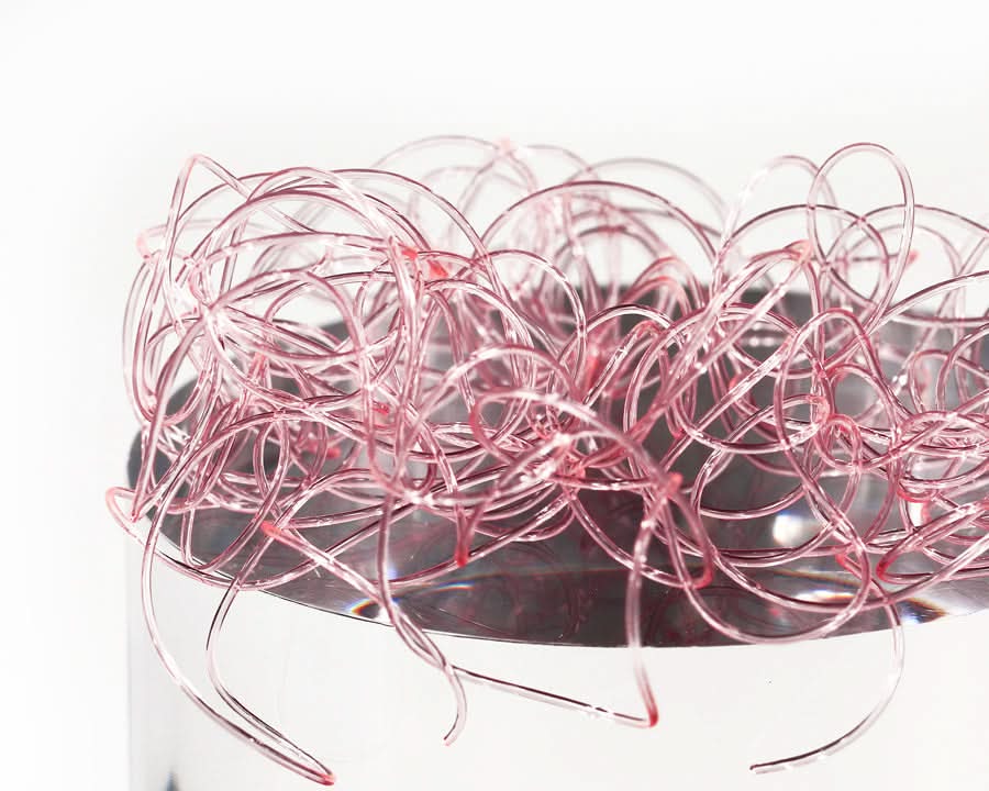 Wiggly Worms - Go - Fish