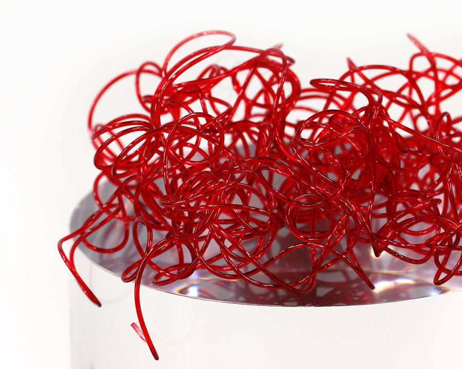 Wiggly Worms - Go - Fish